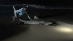 Fishing in New Smyrna Beach, Florida