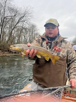 Fishing in Roswell, Georgia