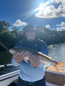 Fishing in Tarpon Springs, Florida