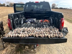 Hunting in Rising Star, Texas