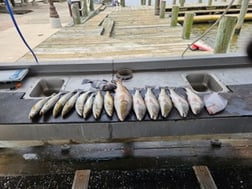Fishing in Lake Charles, Louisiana