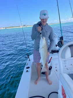 Fishing in Orange Beach, Alabama