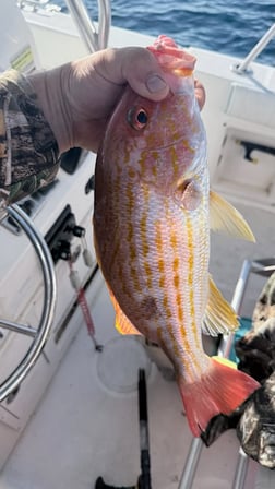 Fishing in Panama City, Florida