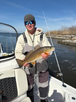 Fishing in Lake Charles, Louisiana