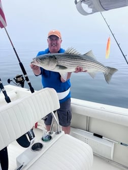 Fishing in Dennis, Massachusetts