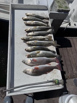 Fishing in Bradenton, Florida