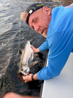 Fishing in Cudjoe Key, Florida
