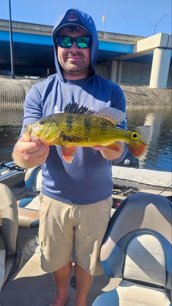 Fishing in Fort Lauderdale, Florida