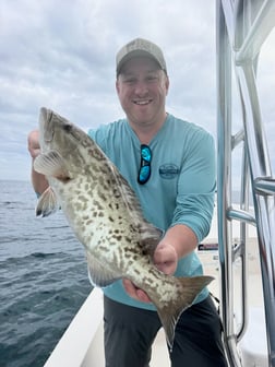 Fishing in Sarasota, Florida