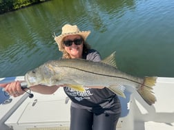 Fishing in St. Petersburg, Florida