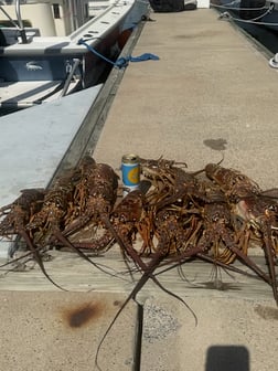 Fishing in Ruskin, Florida