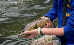 Fishing in Hume, California