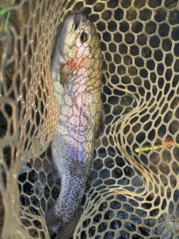 Fishing in Broken Bow, Oklahoma