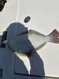 Fishing in Lake Charles, Louisiana