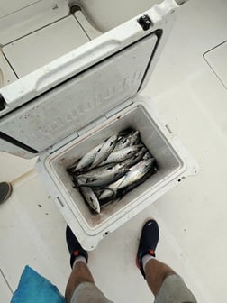 Fishing in Carolina Beach, North Carolina