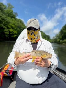 Fishing in Roswell, Georgia
