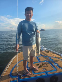 Fishing in Corpus Christi, Texas
