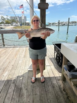 Fishing in Orange Beach, Alabama