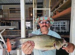 Fishing in Kingston, Oklahoma
