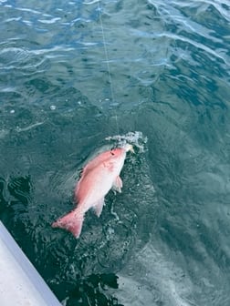 Fishing in Port Orange, Florida