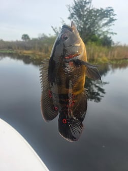 Fishing in Fort Lauderdale, Florida
