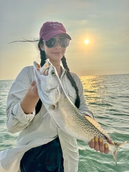 Fishing in South Padre Island, Texas