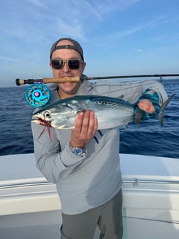 Fishing in Jupiter, Florida