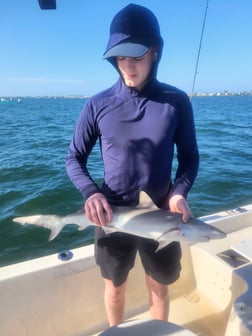 Fishing in Holmes Beach, Florida