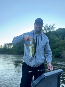 Fishing in Harrietta, Michigan