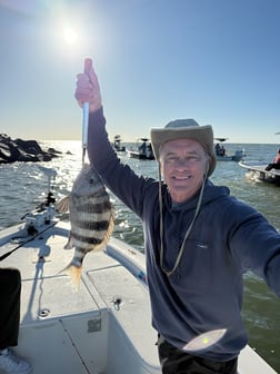 Fishing in Gulf Shores, Alabama