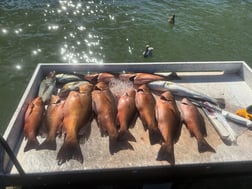 Fishing in Largo, Florida