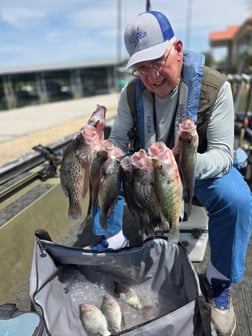 Fishing in Harrison, Tennessee
