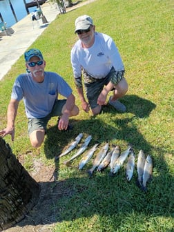 Fishing in Port Charlotte, Florida