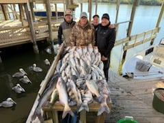Fishing in New Orleans, Louisiana