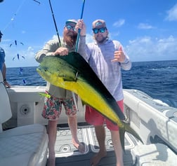 Mahi Mahi Fishing in Port Aransas, Texas
