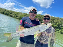 Redfish fishing in Clearwater, Florida