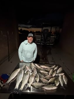 Fishing in Little Elm, Texas