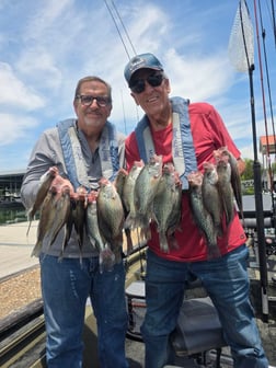Fishing in Harrison, Tennessee