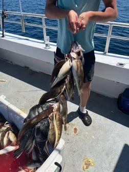 Fishing in Cape May, New Jersey