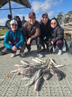 Fishing in Galveston, Texas