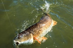 Fishing in Apalachicola, Florida