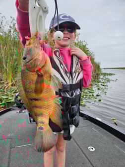 Fishing in Fort Lauderdale, Florida