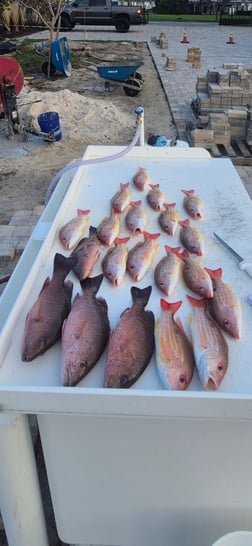 Fishing in Vero Beach, Florida