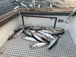 Fishing in Kenosha, Wisconsin