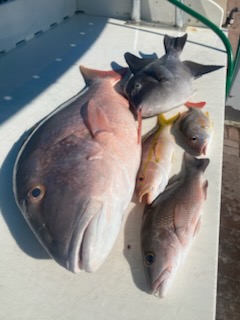 Fishing in Key West, Florida