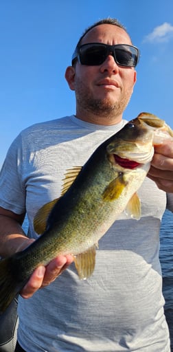 Fishing in Fort Lauderdale, Florida