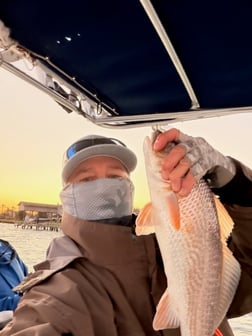 Fishing in Katy, Texas