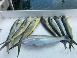 Fishing in Key West, Florida
