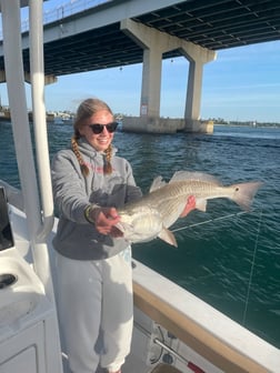 Fishing in Orange Beach, Alabama