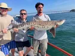 Fishing in San Diego, California